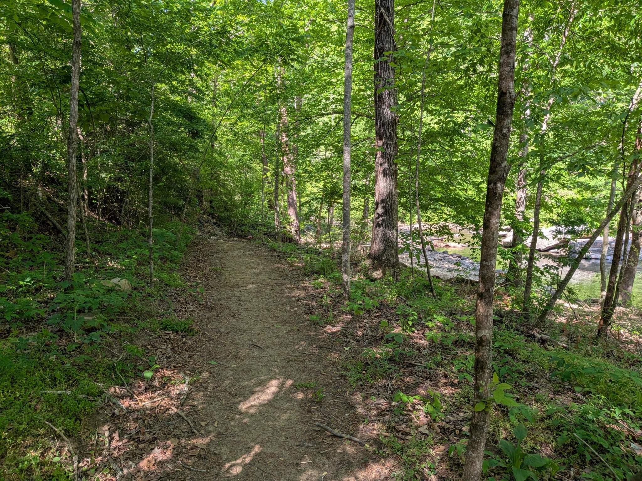 123 Hard Rector Lane Spring City, TN 37381 - Photo 34 of 36