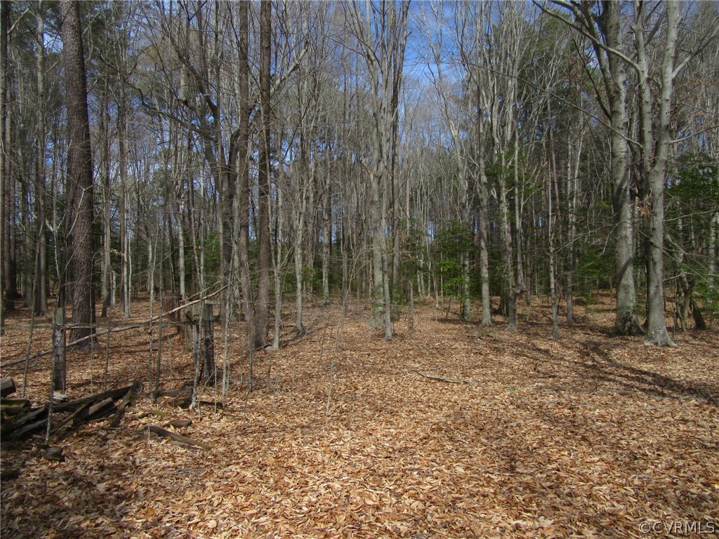 9225 Ellis Road Spring Grove, VA 23881 - Photo 48 of 50 Gallery Image 48