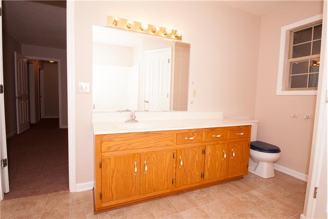 291 Rivendell Road Woodbury, TN 37190 - Photo 9 of 12 Master bath vanity.