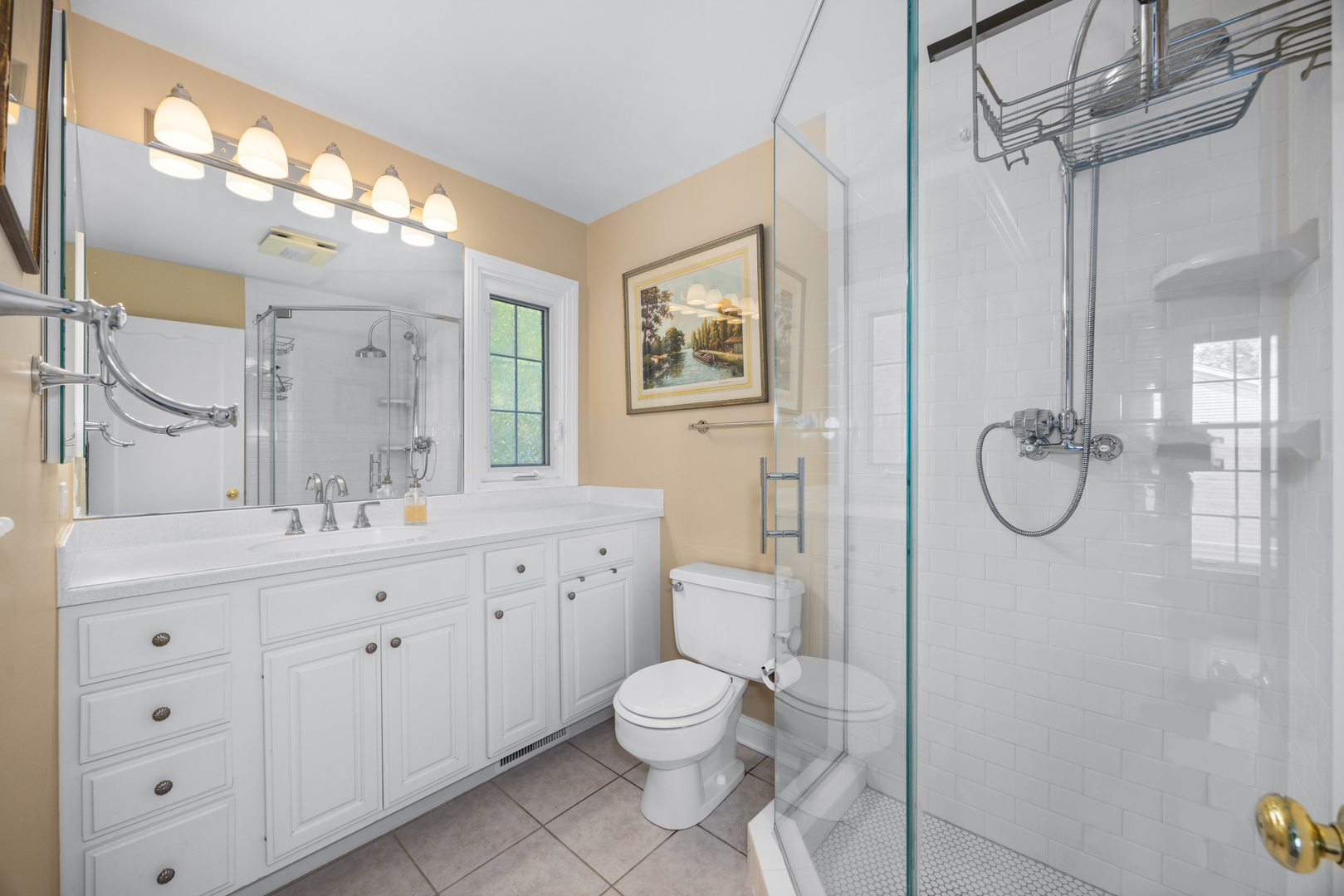 715 Smoke Tree Road Deerfield, IL 60015 - Photo 20 of 41 a bathroom with a granite countertop toilet a sink and a mirror