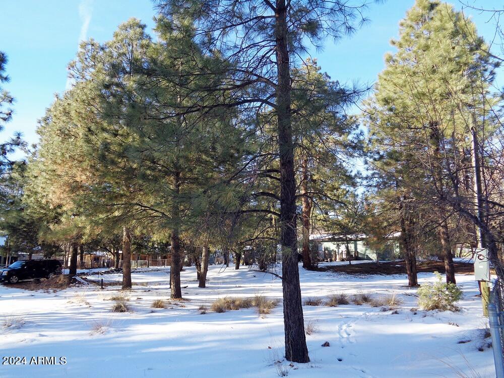 8584 Elk Road, Unit 49 Pine, AZ 85544 - Photo 4 of 8 8584 P4