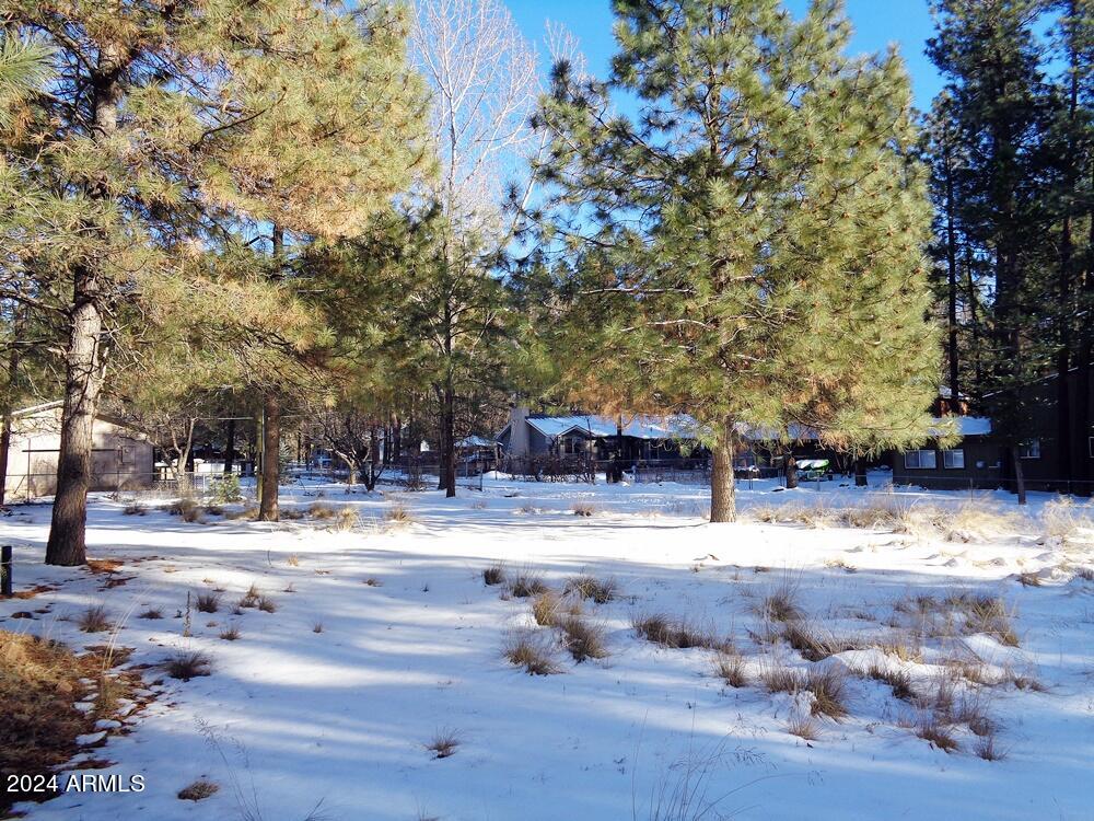 8584 Elk Road, Unit 49 Pine, AZ 85544 - Photo 6 of 8 8584 P1