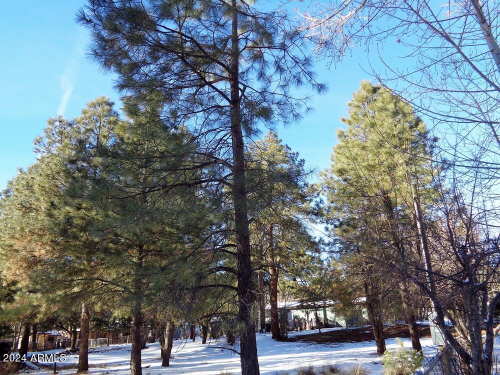 8584 Elk Road, Unit 49 Pine, AZ 85544 - Photo 8 of 8 8584 P5