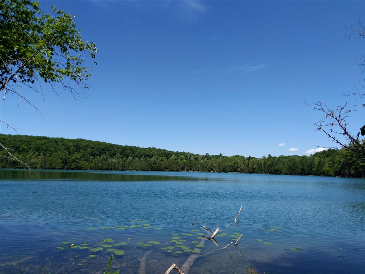 Burnt Mill Road Interlochen, MI 49643 - Photo 16 of 25 1863508-15.JPG