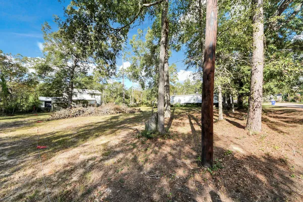 a view of a yard with plants and trees