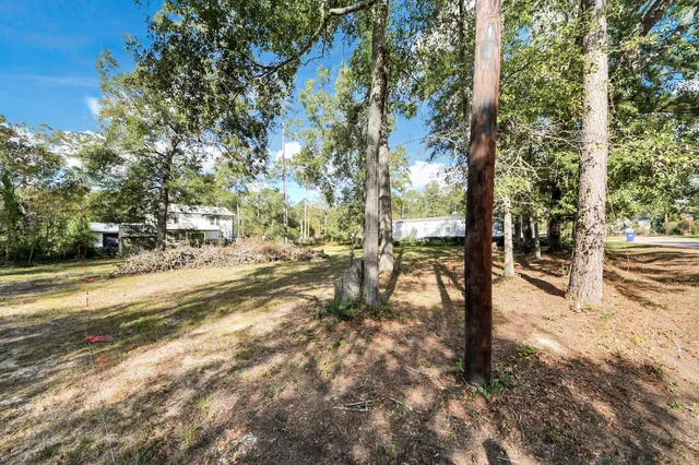 a view of a yard with plants and trees