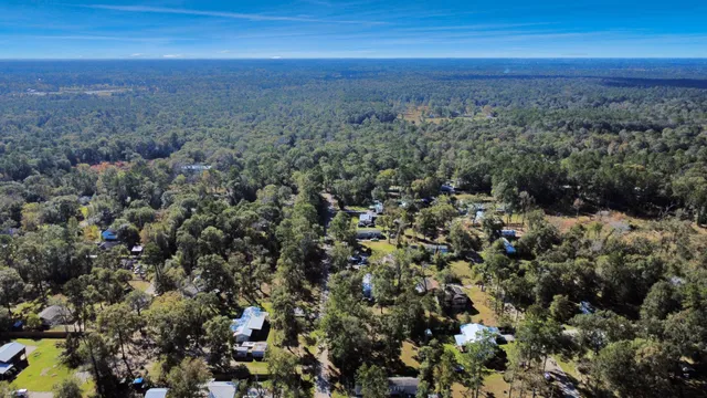 a view of a big yard with lots of trees