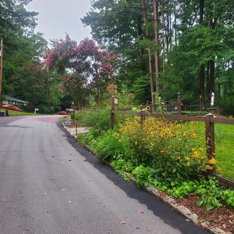 3508 Larkspur Terrace Decatur, GA 30032 - Photo 1 of 1 a view of a garden with plants and large trees