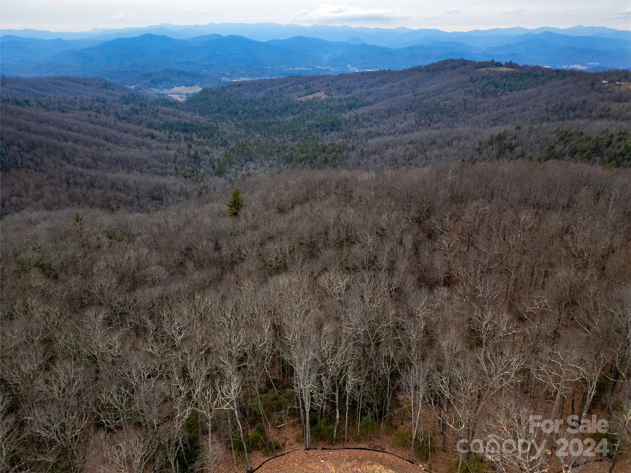 a view of a yard with mountain