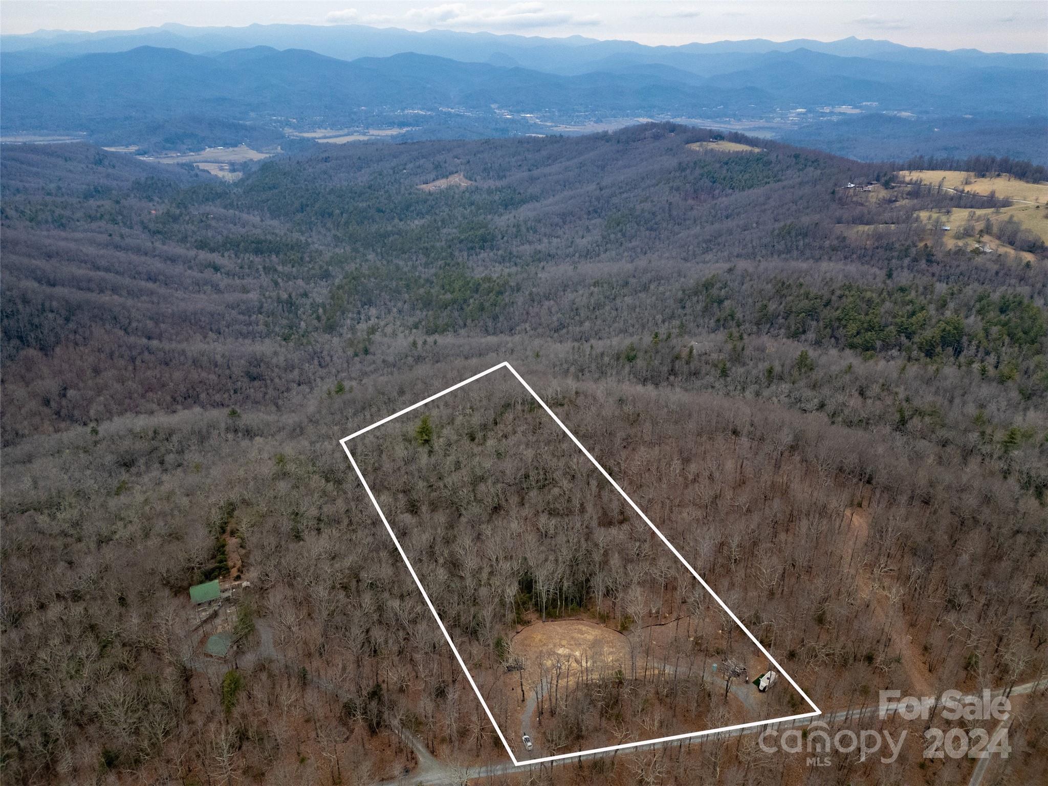 444 Fox Tower Road Brevard, NC 28712 - Photo 4 of 8 a view of a dry yard with trees