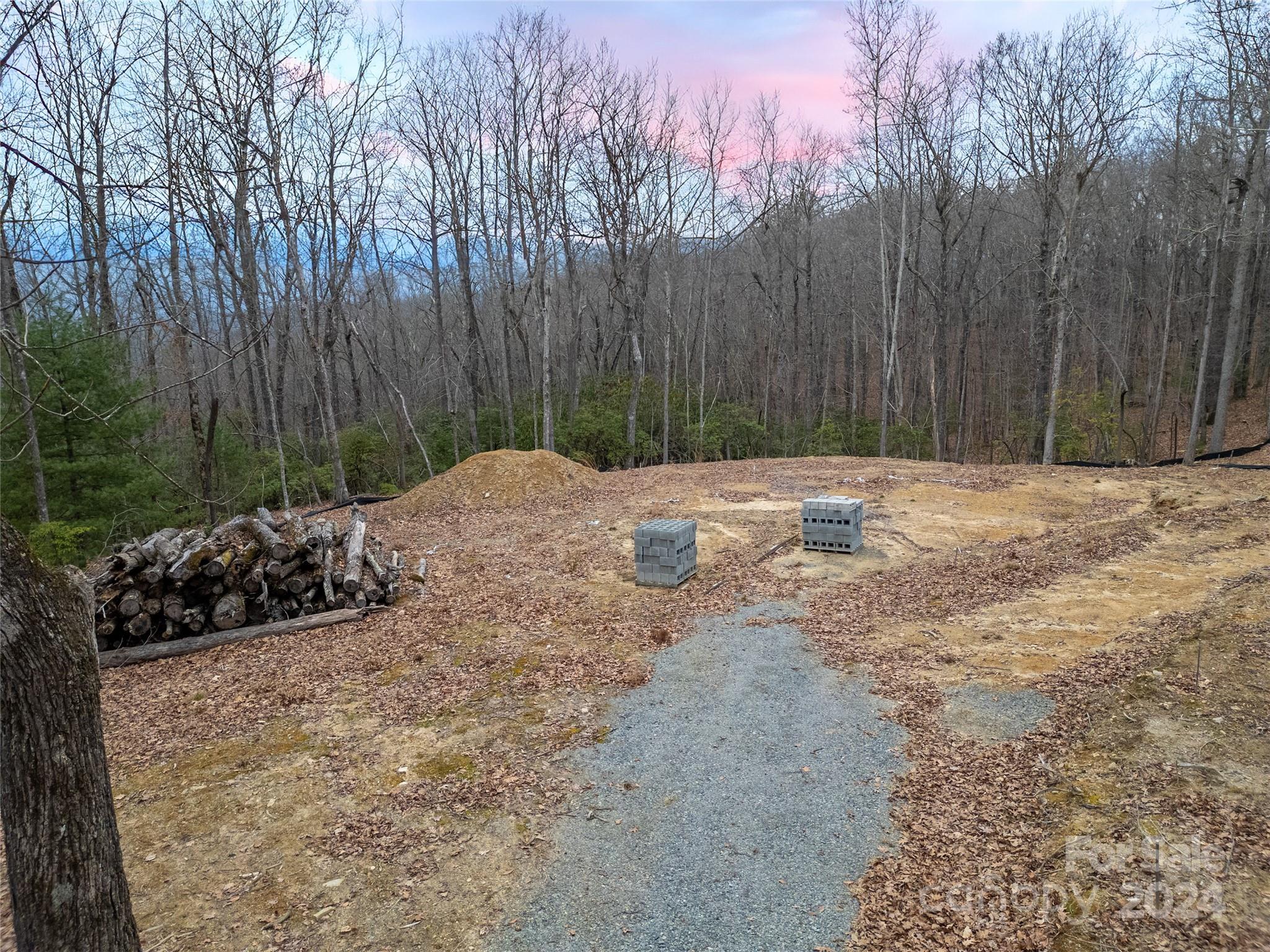 444 Fox Tower Road Brevard, NC 28712 - Photo 6 of 8 a view of a backyard of a house