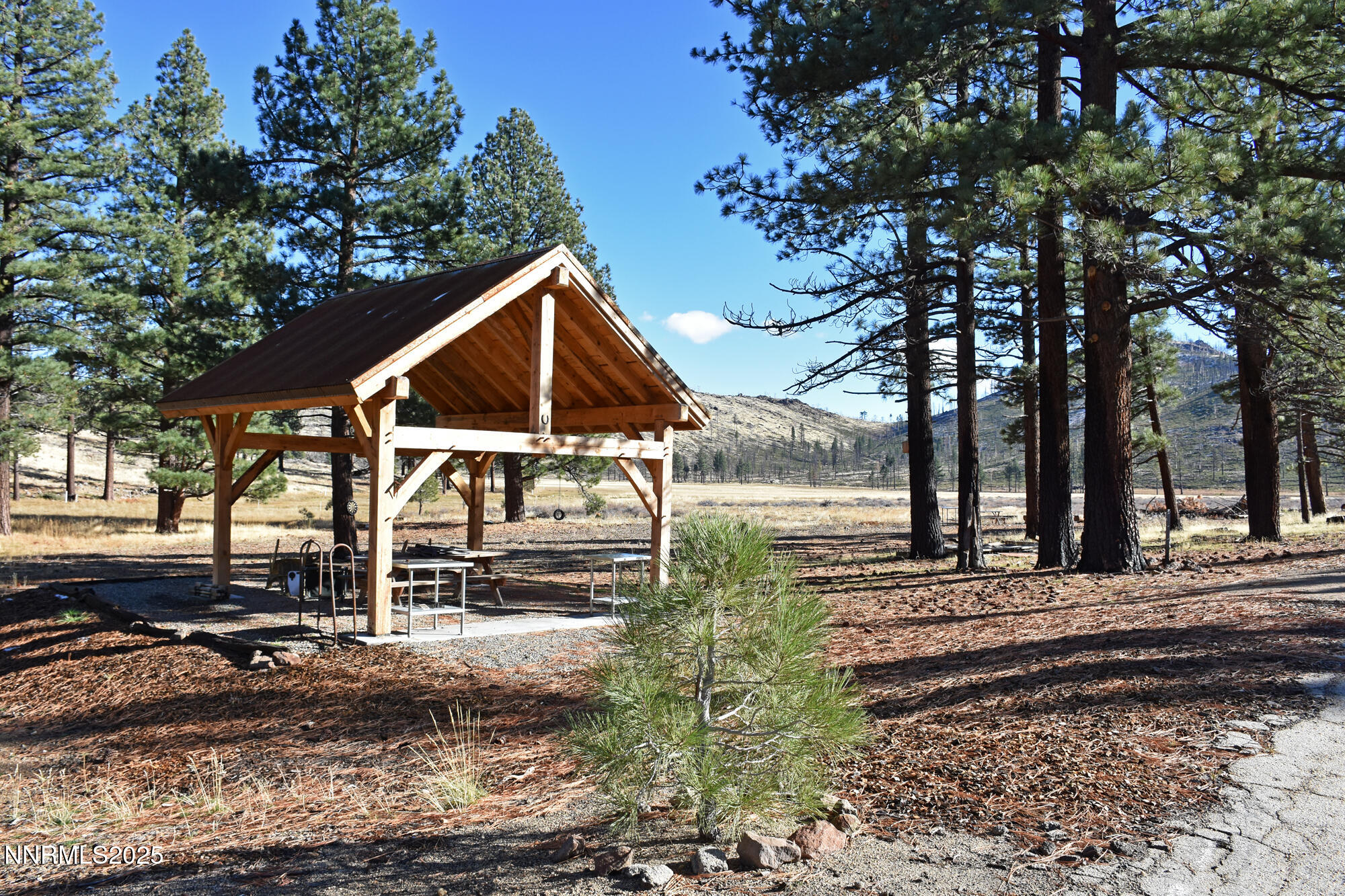 047 State Route 89 Markleeville, CA 96120 - Photo 15 of 70 a view of a house with a yard