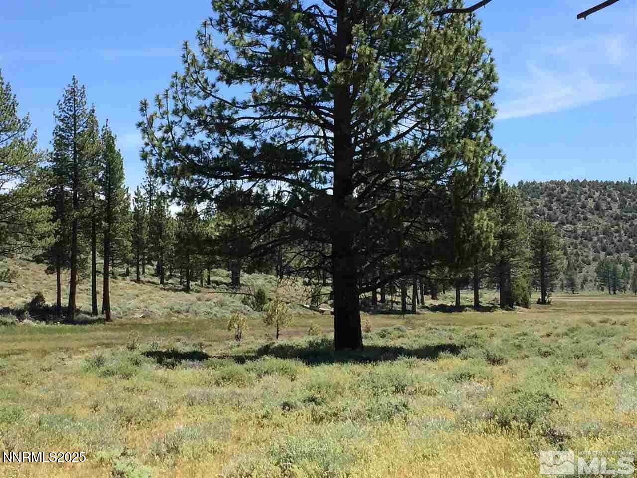 047 State Route 89 Markleeville, CA 96120 - Photo 17 of 70 20250409164935656446000000-o