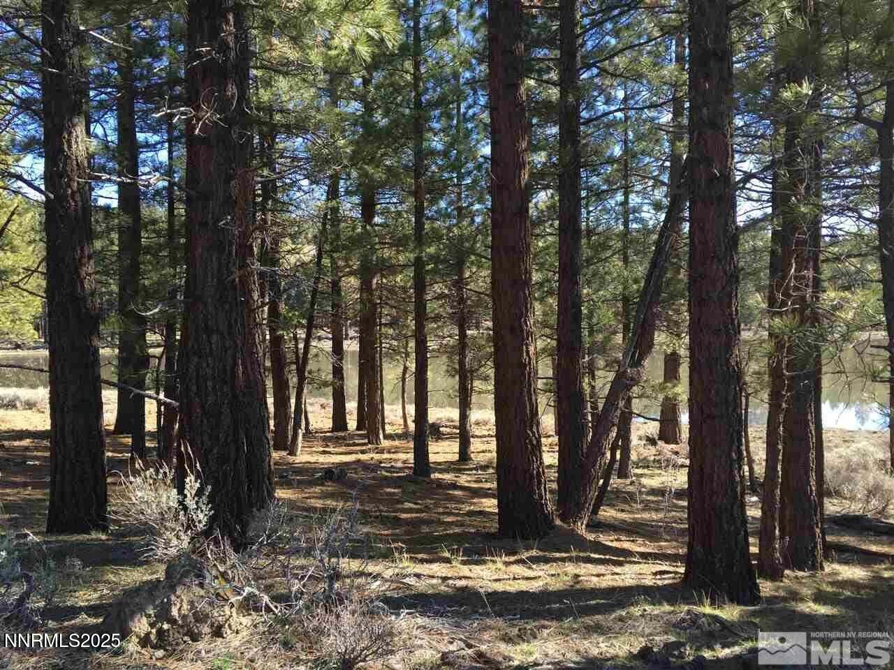 047 State Route 89 Markleeville, CA 96120 - Photo 18 of 70 a view of a backyard with large trees