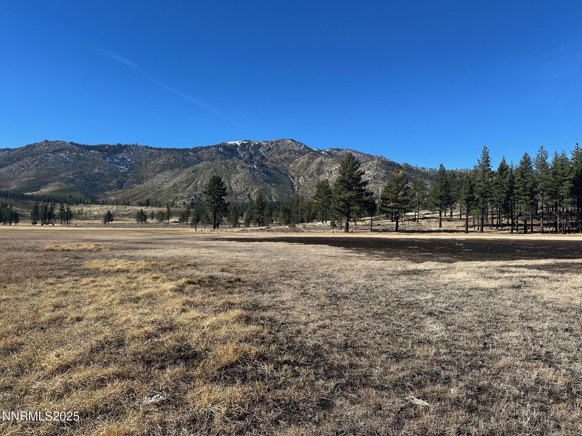 047 State Route 89 Markleeville, CA 96120 - Photo 19 of 70 a view of outdoor space with mountain view