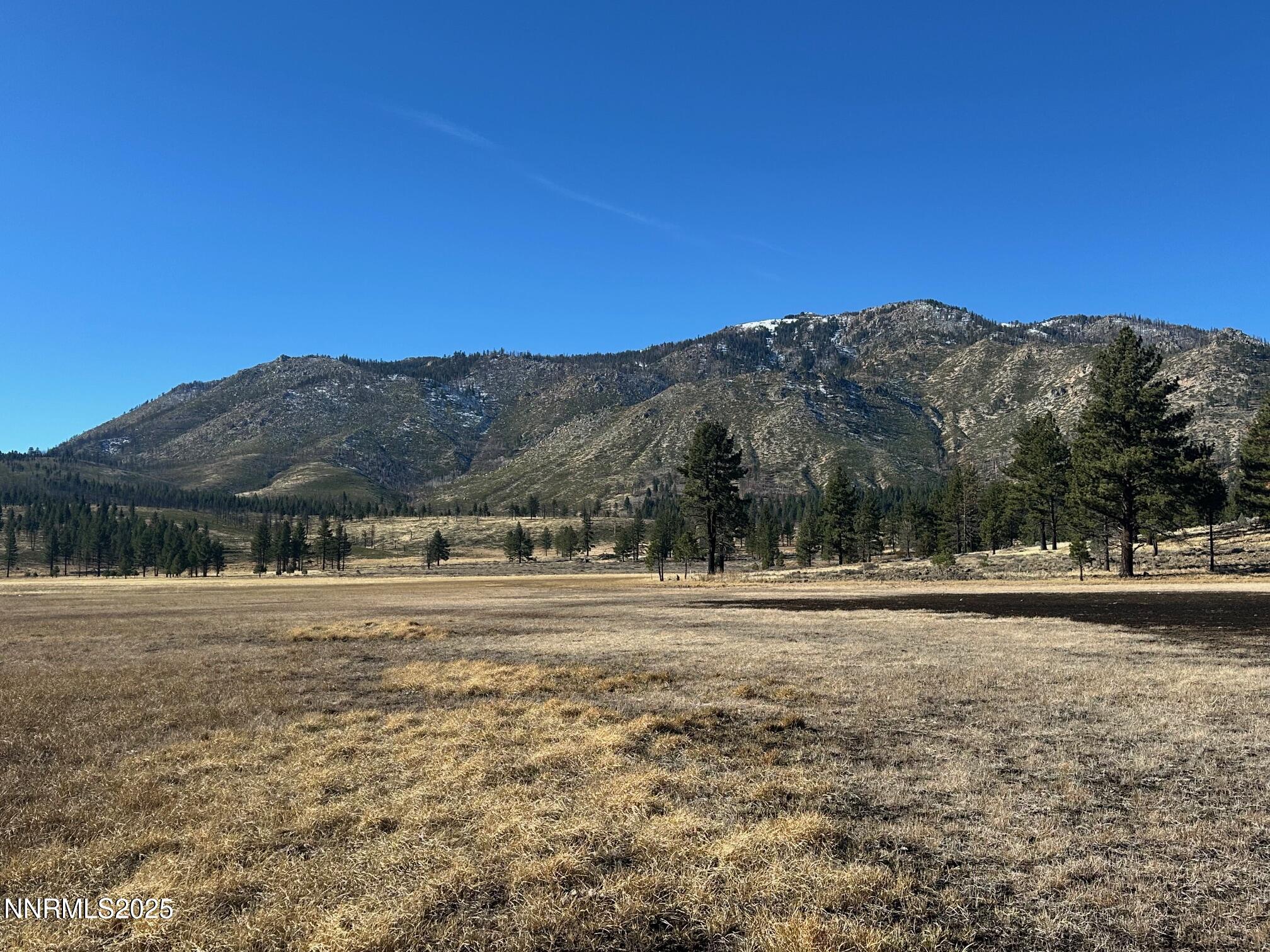 047 State Route 89 Markleeville, CA 96120 - Photo 20 of 70 a view of dirt field with mountain in the background