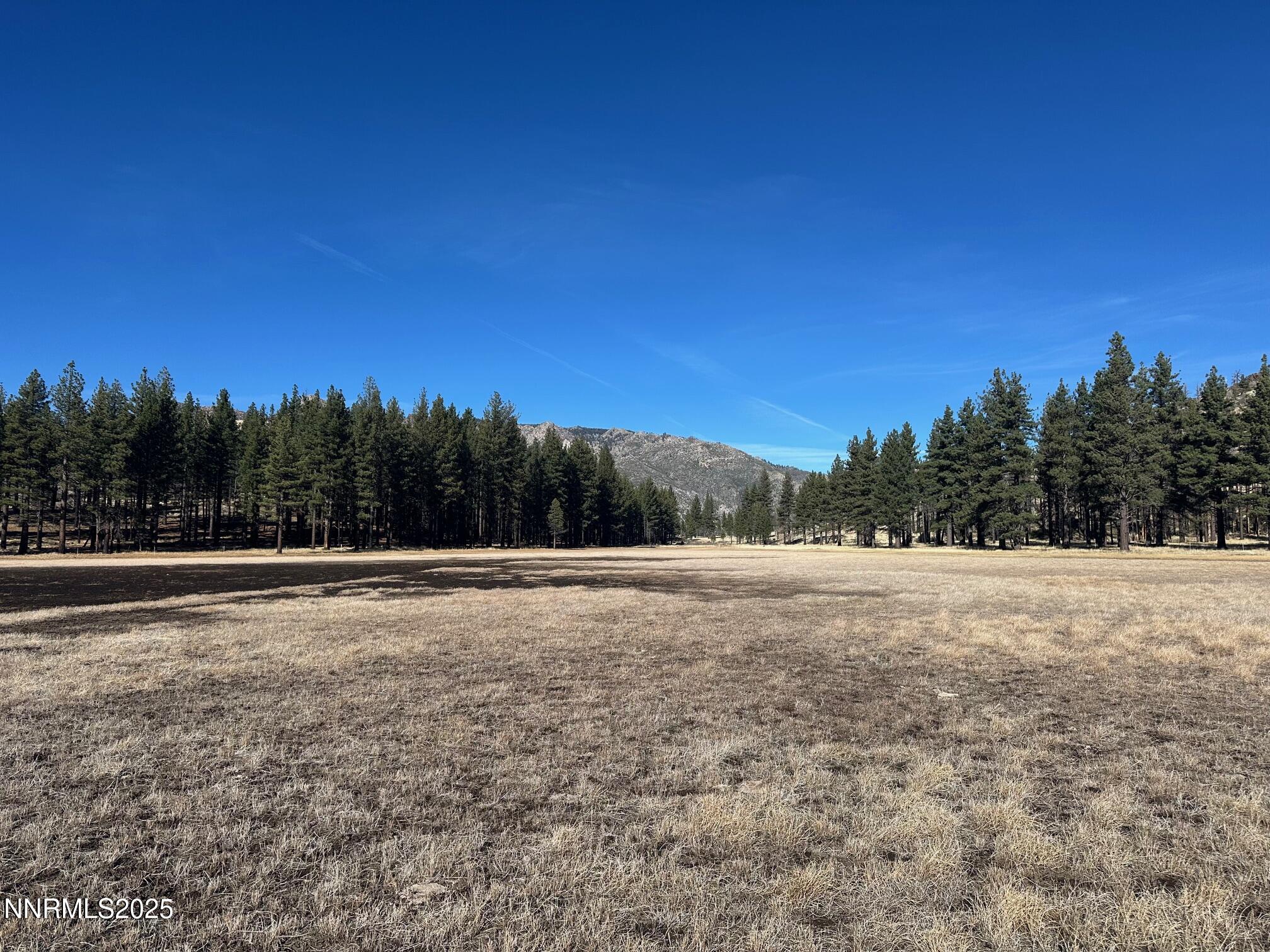 047 State Route 89 Markleeville, CA 96120 - Photo 21 of 70 IMG_2116