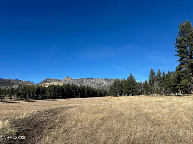 a view of mountain view with wooden floor