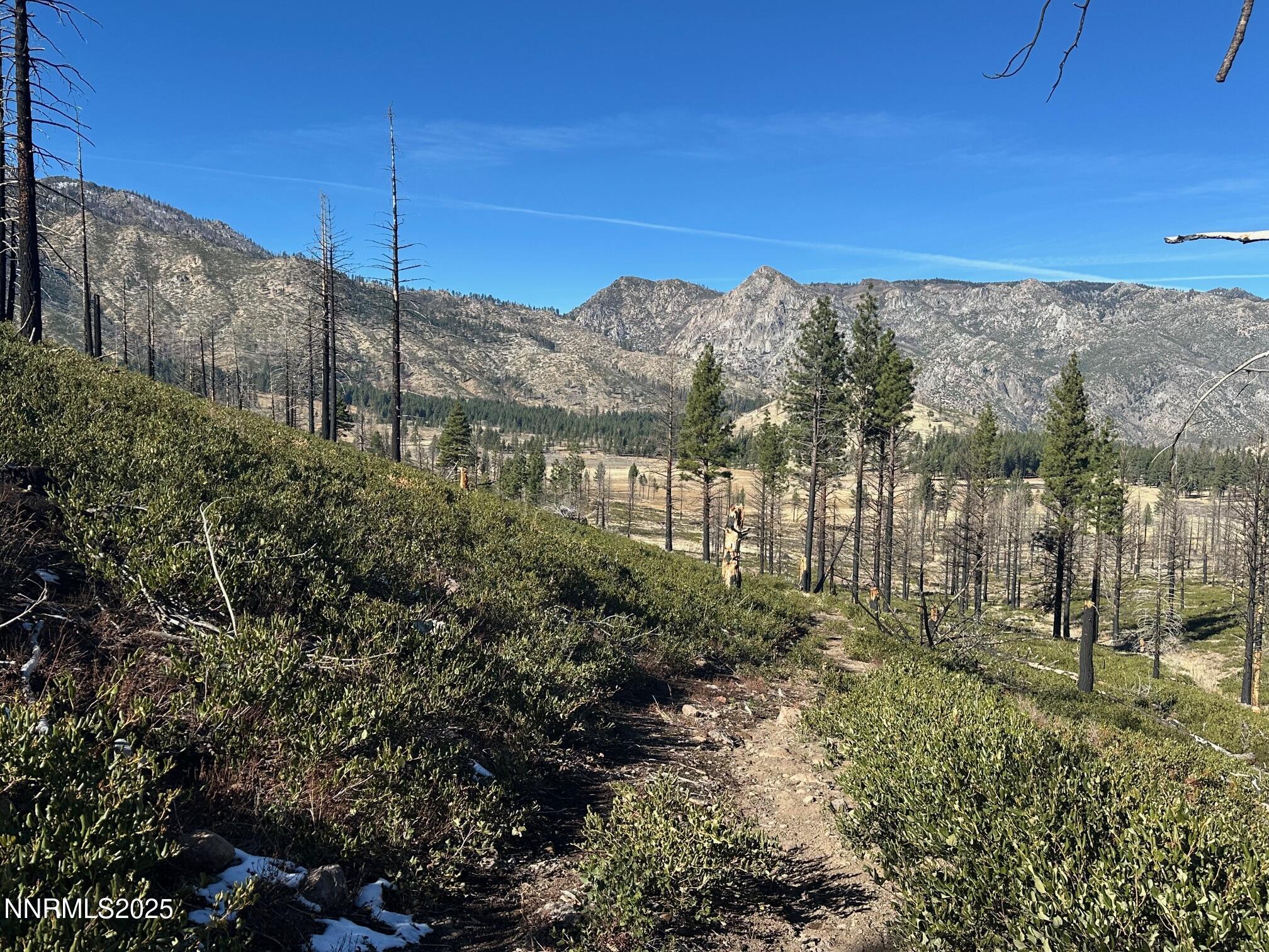 047 State Route 89 Markleeville, CA 96120 - Photo 26 of 70 a view of a city with lush green forest