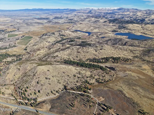 a view of a yard with yellow lighting