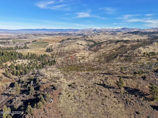 a view of outdoor space and trees