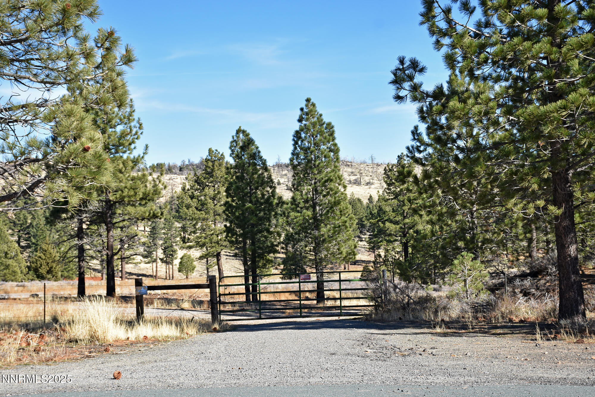 047 State Route 89 Markleeville, CA 96120 - Photo 35 of 70 a view of a yard with plants and trees