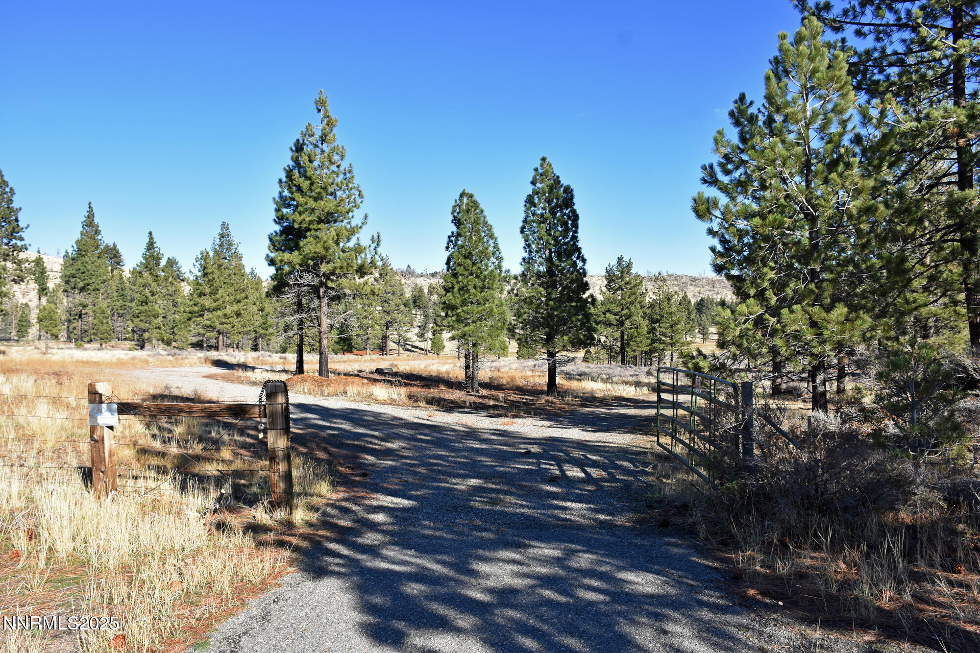 047 State Route 89 Markleeville, CA 96120 - Photo 37 of 70 a view of a yard with plants and trees