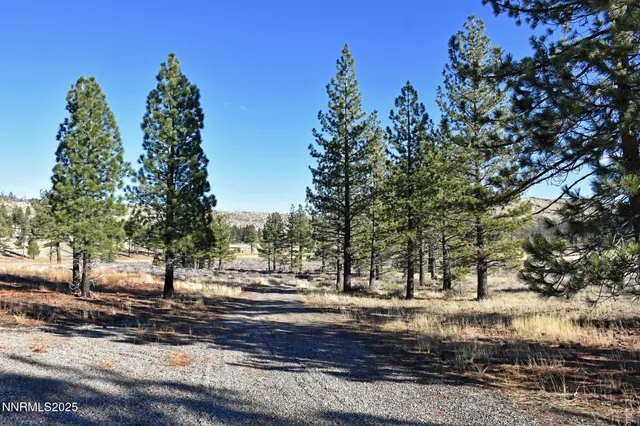 a view of an outdoor space