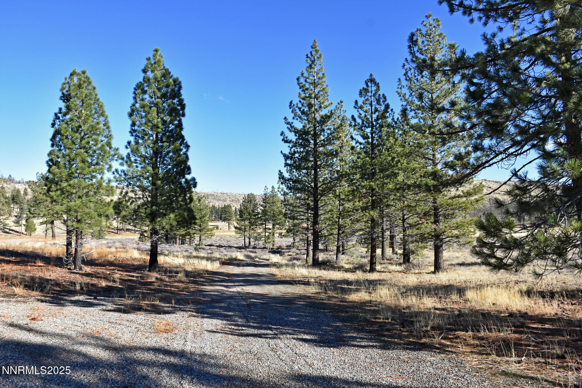 047 State Route 89 Markleeville, CA 96120 - Photo 41 of 70 a view of a yard with yellow lighting