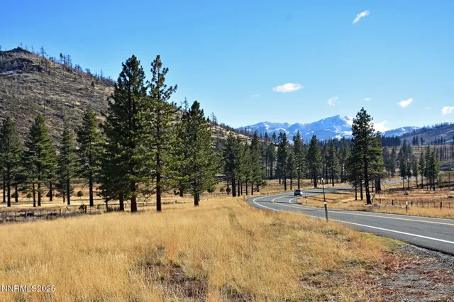 a view of outdoor space with trees