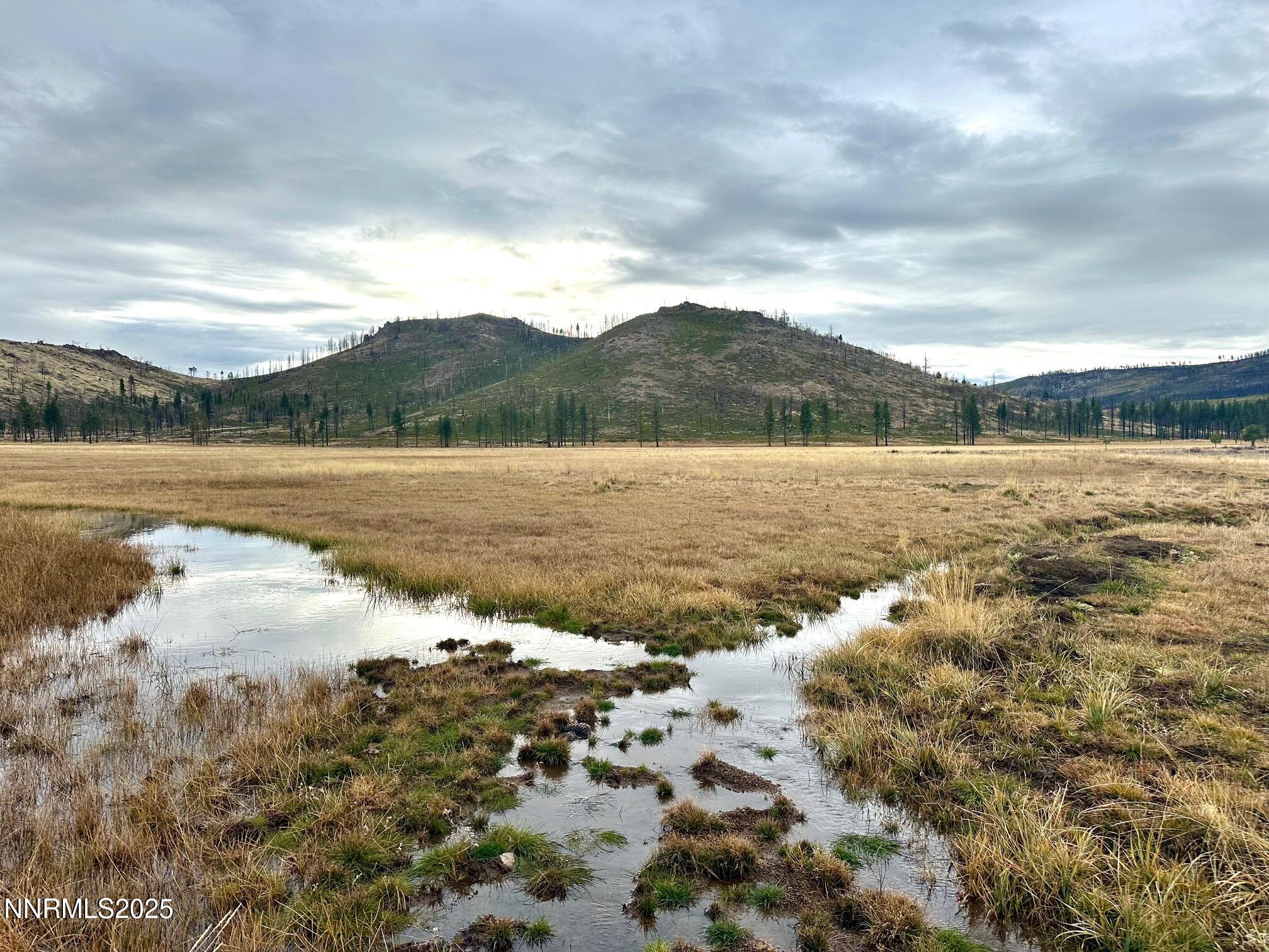 047 State Route 89 Markleeville, CA 96120 - Photo 44 of 70 a view of lake