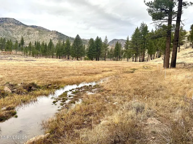 a view of a lake with houses in the back