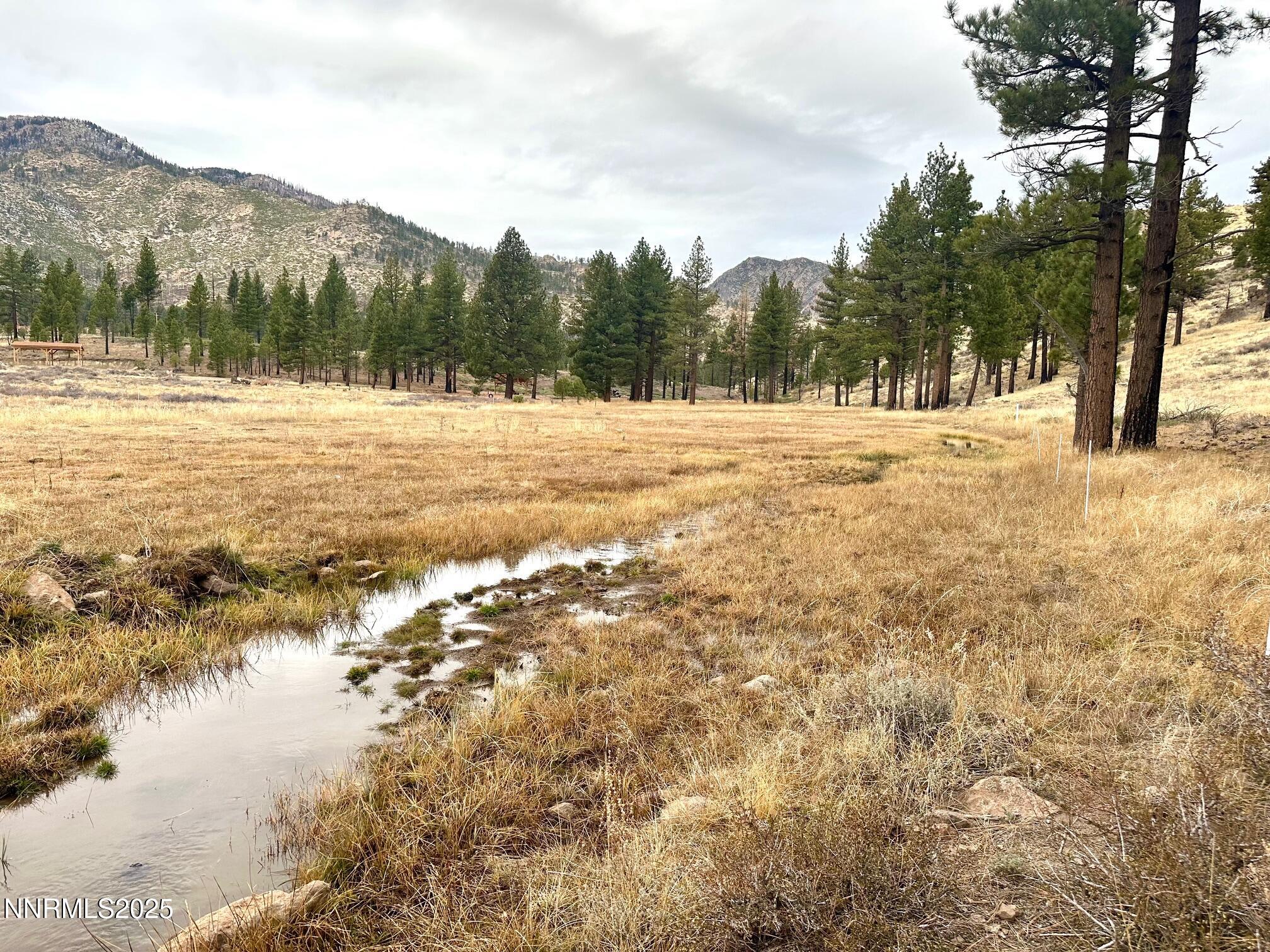 047 State Route 89 Markleeville, CA 96120 - Photo 45 of 70 a view of outdoor space and trees