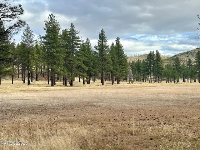 a view of a city with mountains in the background