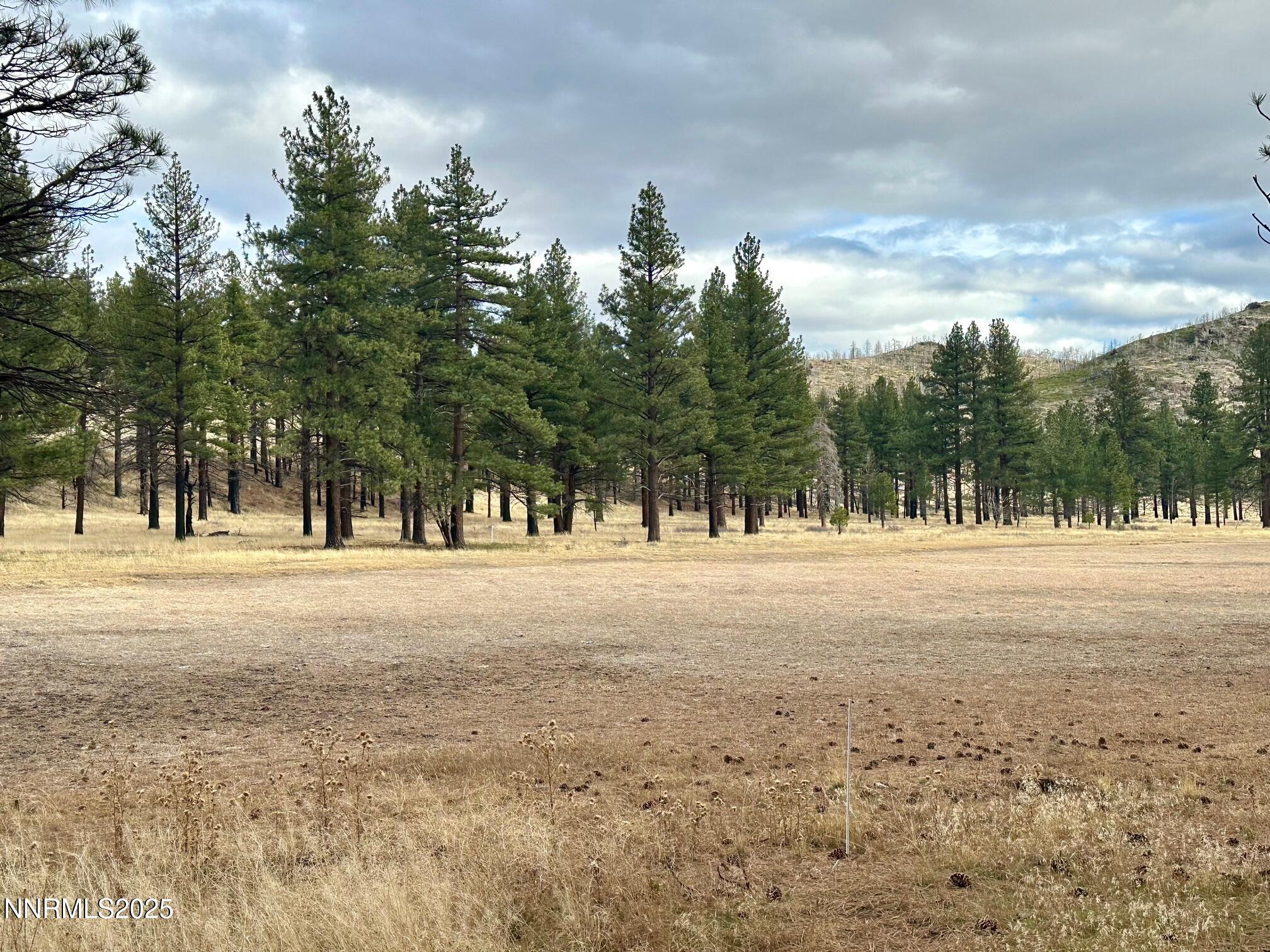 047 State Route 89 Markleeville, CA 96120 - Photo 47 of 70 IMG_2260