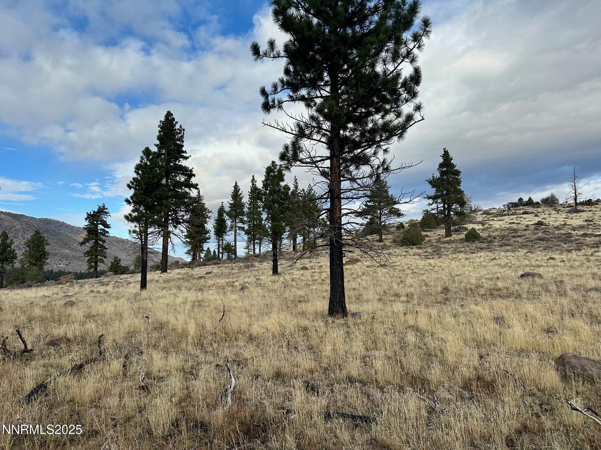 047 State Route 89 Markleeville, CA 96120 - Photo 48 of 70 a view of outdoor space with trees