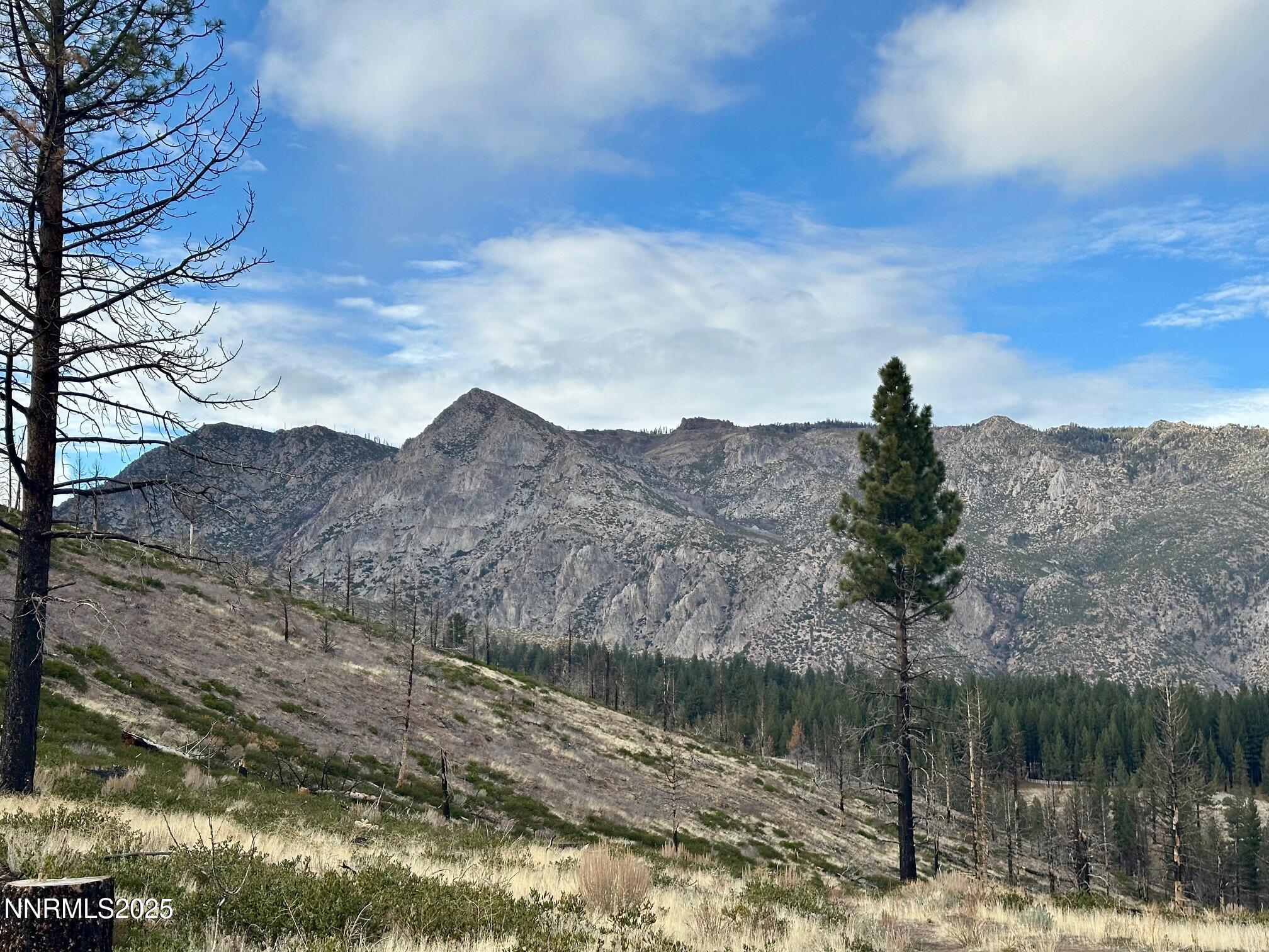 047 State Route 89 Markleeville, CA 96120 - Photo 49 of 70 a view of a lake in middle of forest