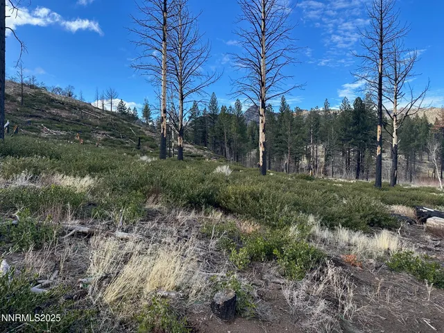 a view of lake with mountain