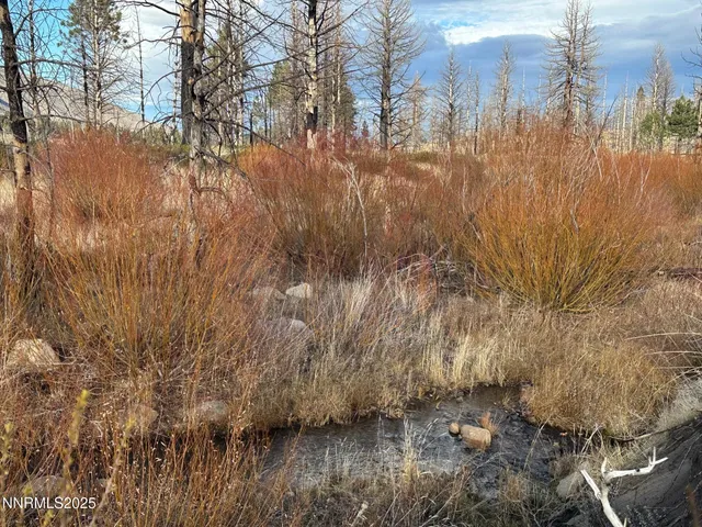 $3,250,000 | 047 State Route 89, Markleeville, CA 96120