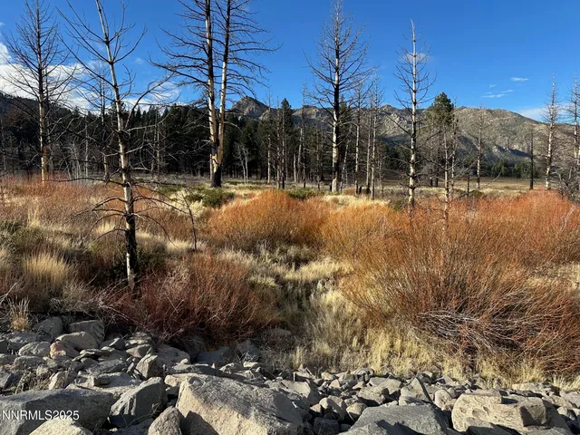 $3,250,000 | 047 State Route 89, Markleeville, CA 96120