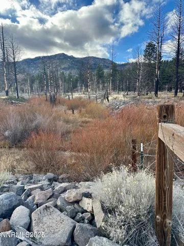 $3,250,000 | 047 State Route 89, Markleeville, CA 96120