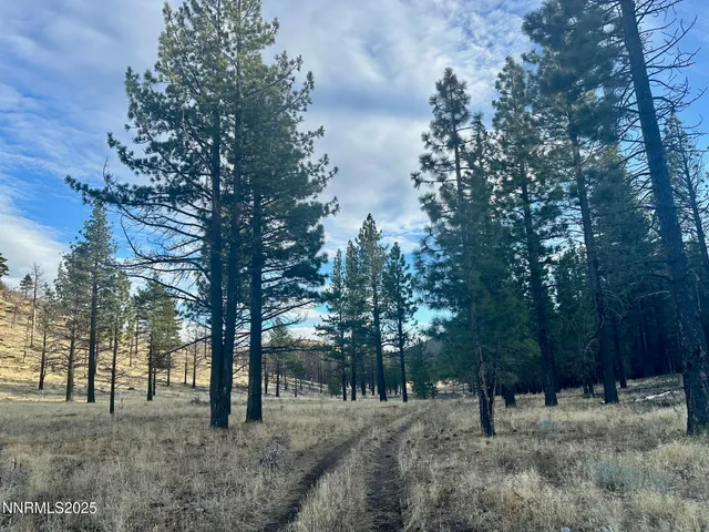 $3,250,000 | 047 State Route 89, Markleeville, CA 96120