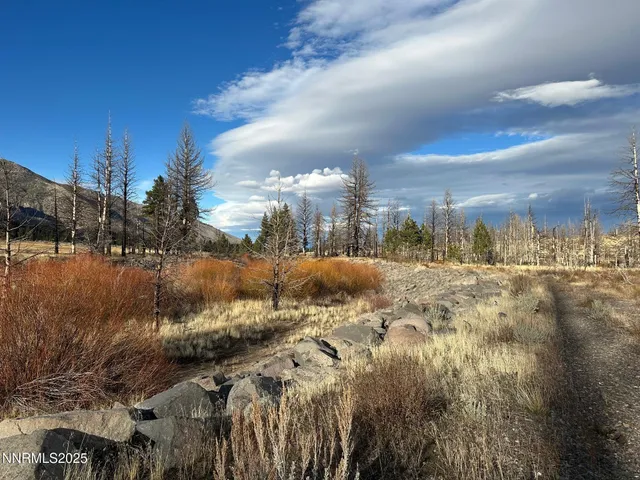 $3,250,000 | 047 State Route 89, Markleeville, CA 96120