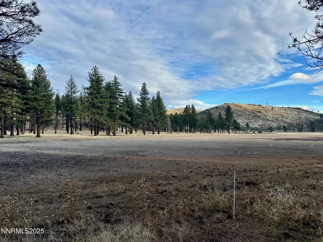 $3,250,000 | 047 State Route 89, Markleeville, CA 96120