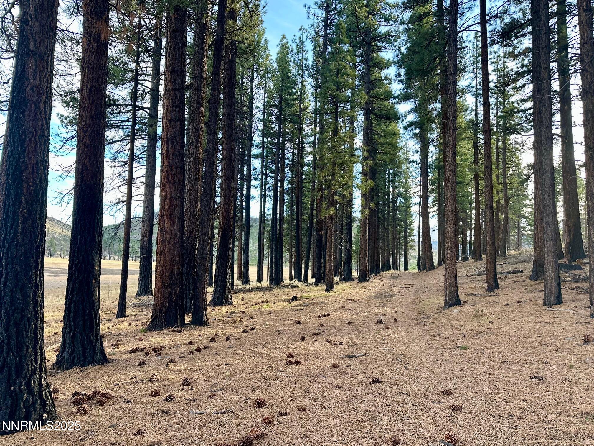 047 State Route 89 Markleeville, CA 96120 - Photo 57 of 70 IMG_2298