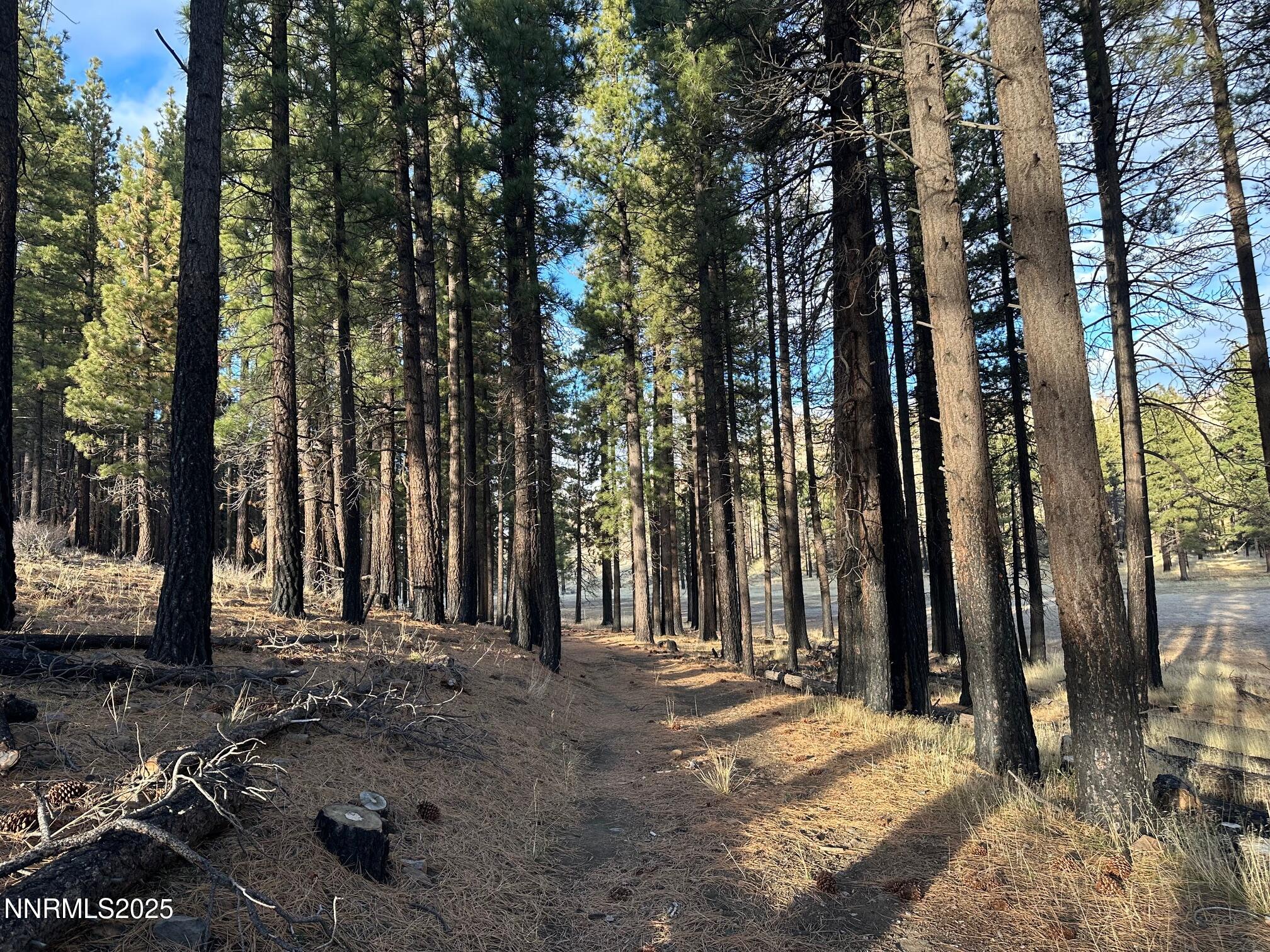 047 State Route 89 Markleeville, CA 96120 - Photo 58 of 70 IMG_2300