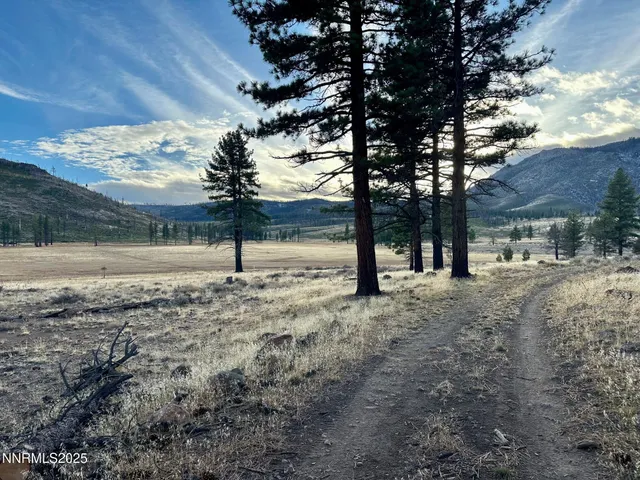 $3,250,000 | 047 State Route 89, Markleeville, CA 96120