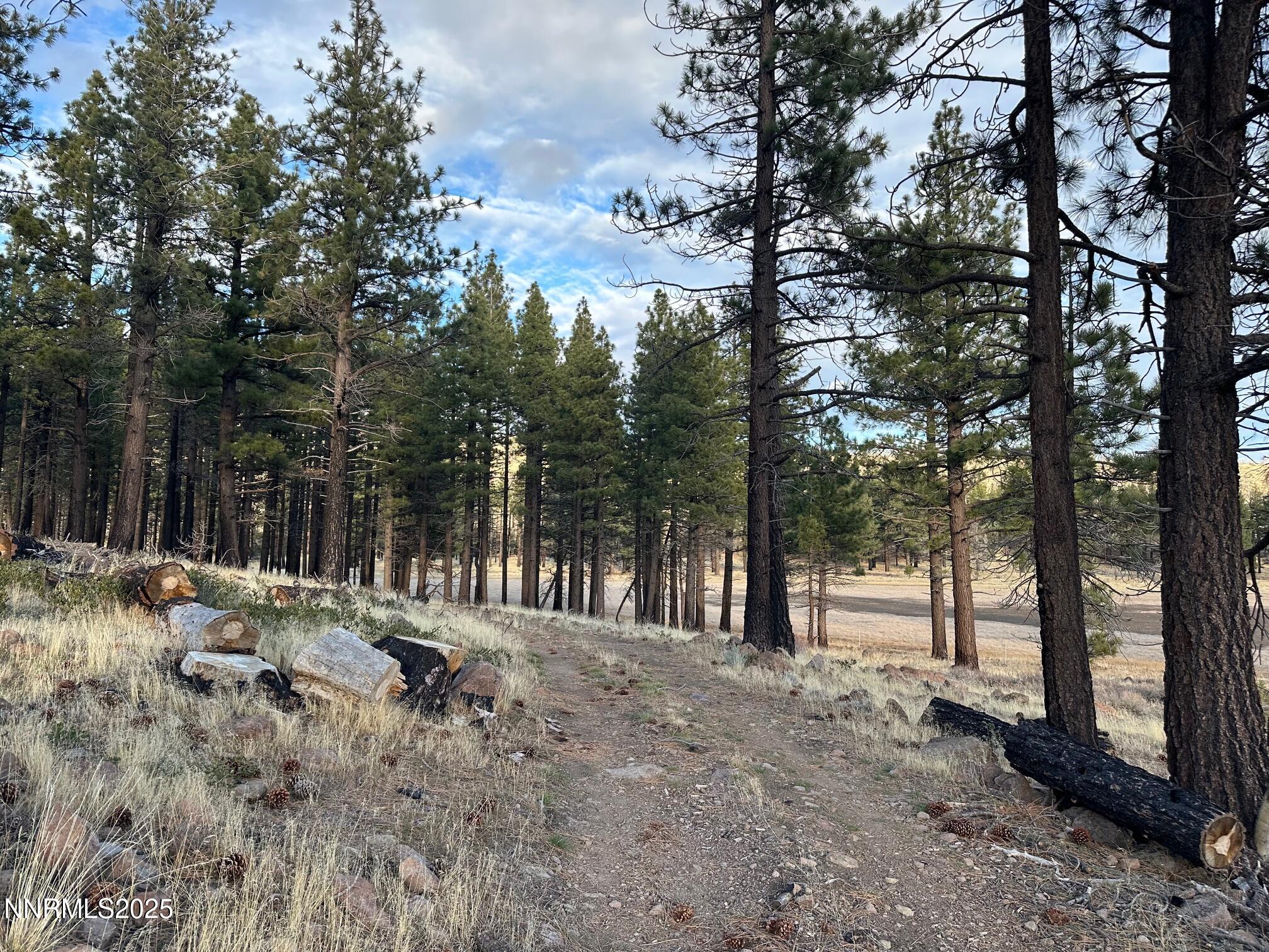 047 State Route 89 Markleeville, CA 96120 - Photo 60 of 70 a view of outdoor space with trees
