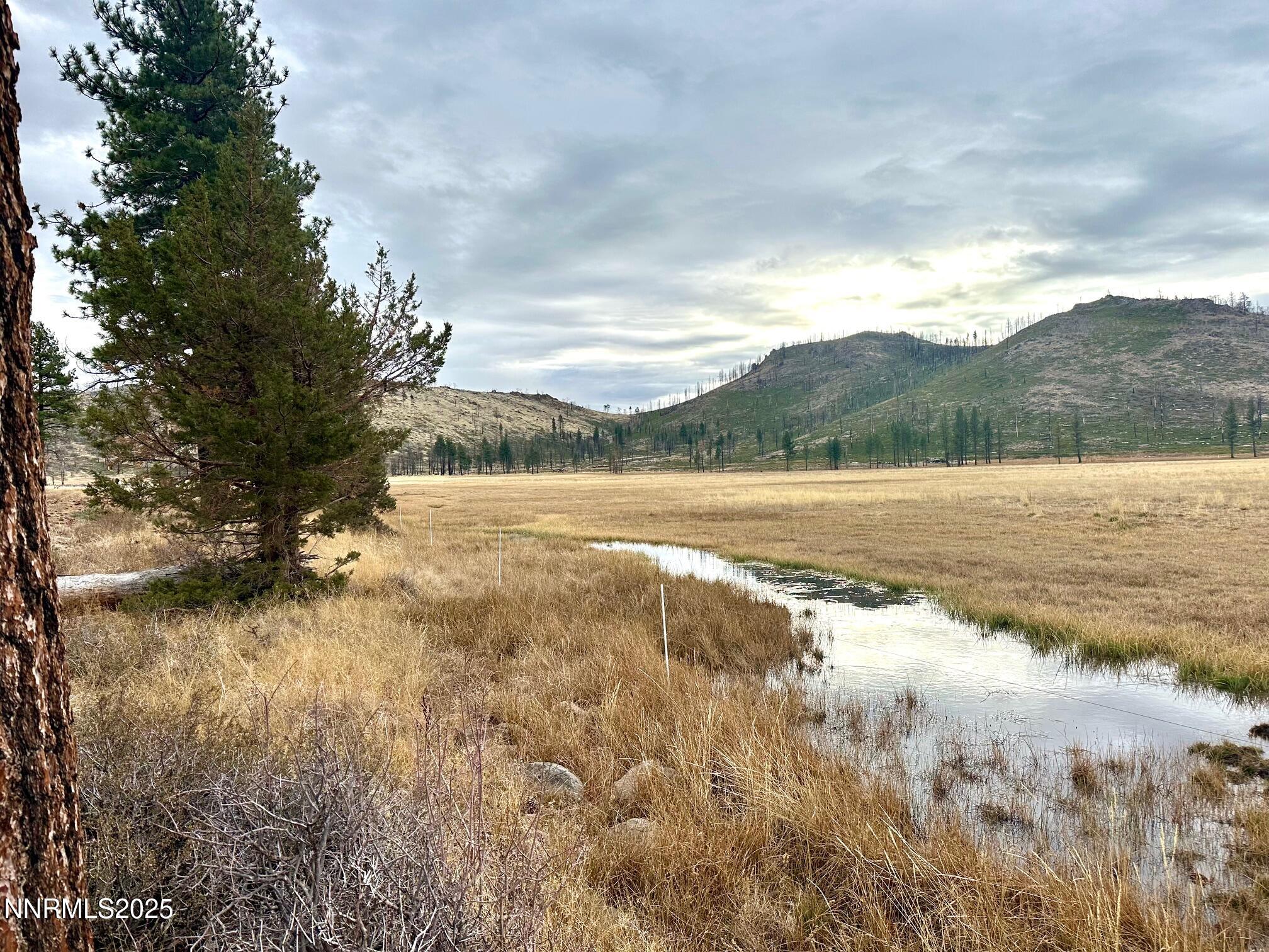 047 State Route 89 Markleeville, CA 96120 - Photo 6 of 70 a view of lake with mountain