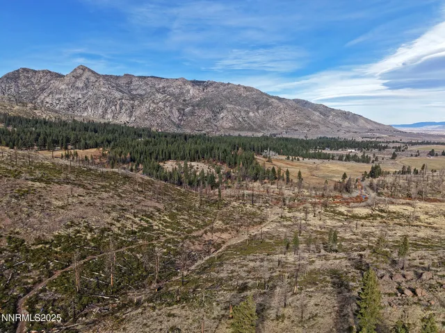 $3,250,000 | 047 State Route 89, Markleeville, CA 96120